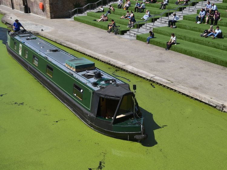 A canal boat passes through algae on Regent's Canal in London during the hot weather