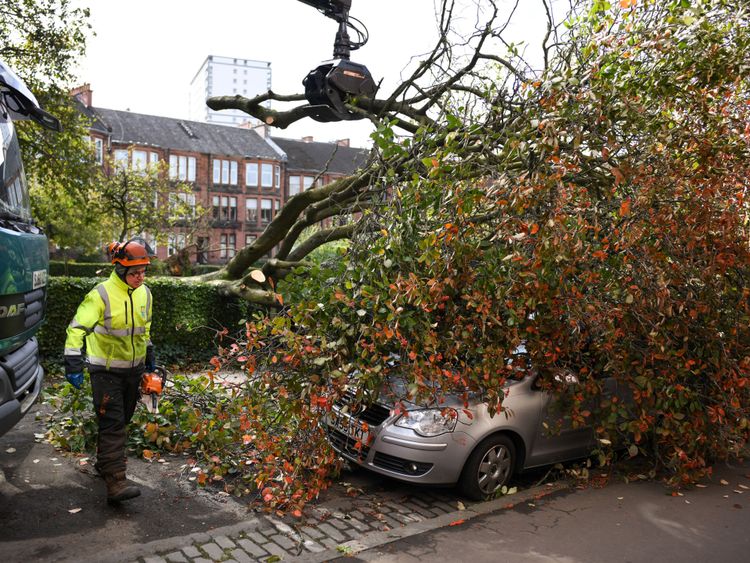 Motorists have been warned of travel misery due to fallen trees